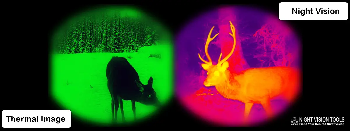 Thermal Imaging vs Night Vision Key Differences